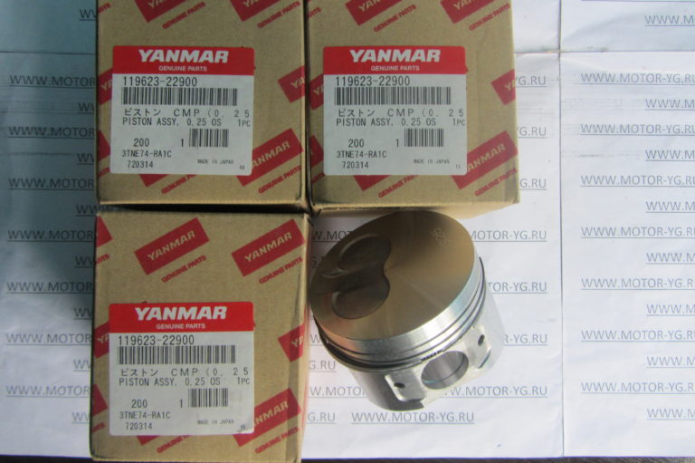 Поршень с кольцами 0,25 | Мотор-Юг