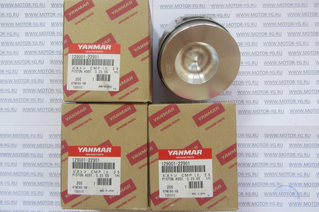 Поршень с кольцами 0.25 | Мотор-Юг