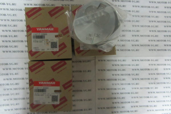 119717-22900 119717-22900