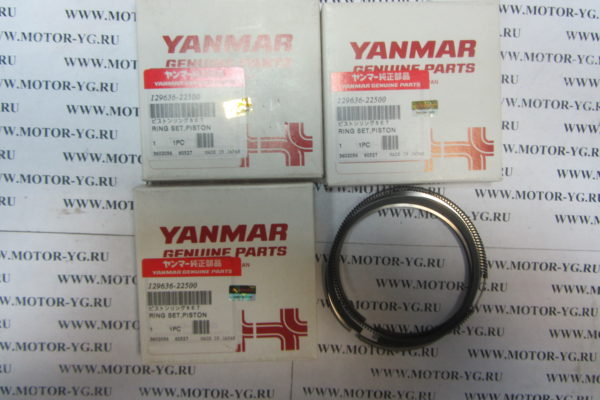 129636-22500 129636-22500