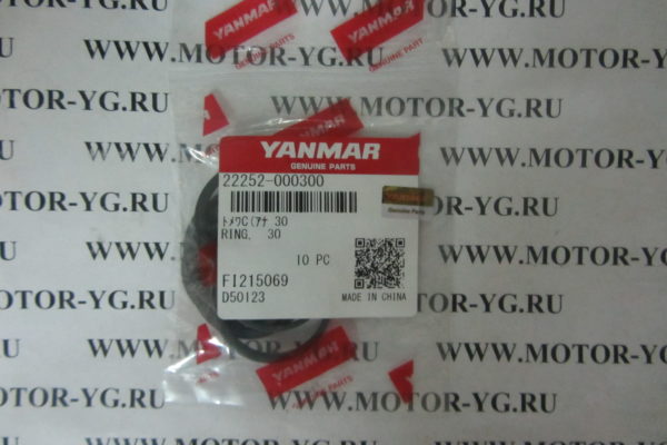 22252-000300 22252-000300